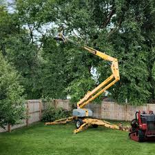 Woodburn, OR Tree Care Company